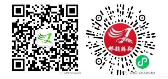 ScreenShot_2026-04-01_155700_469.png